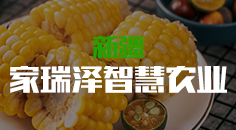 新疆家瑞泽智慧农业科技开发有限公司